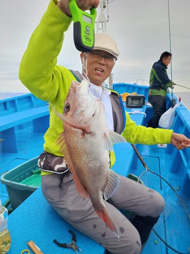 タイ(マダイ)