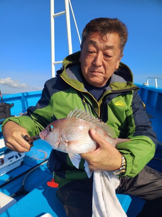 タイ(マダイ)