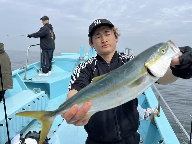 ハマチ(ブリ)