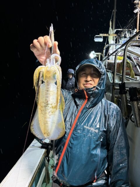 福井県で釣れたアオリイカの最新釣果、釣り情報【2024年11月】