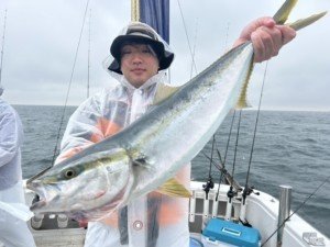 ワラサ(ブリ)