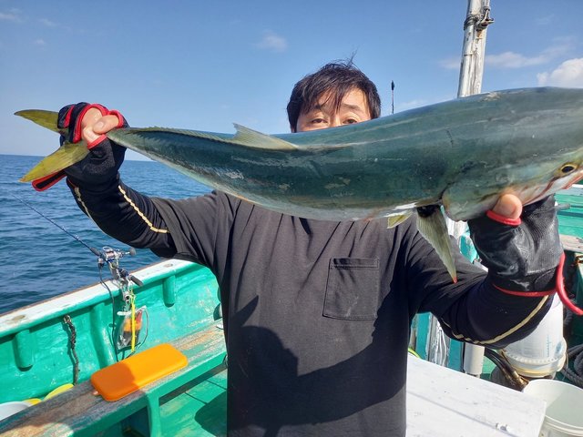 メジロ(ブリ)