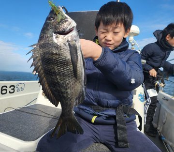 クロダイ