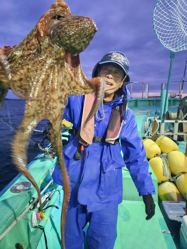 タコ(マダコ)