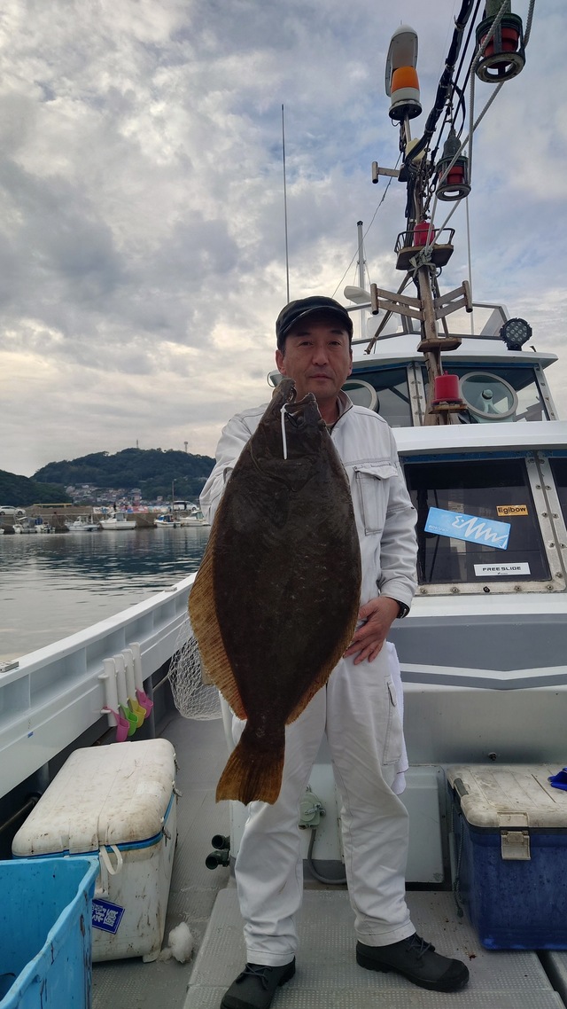 長崎県で釣れたブリの最新釣果、釣り情報【2024年11月】