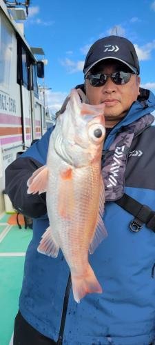 アカムツ