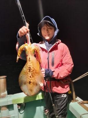 アオリイカ