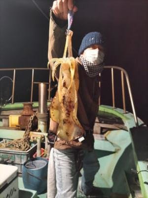 アオリイカ
