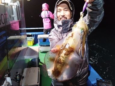 アオリイカ