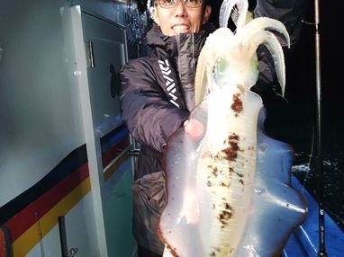 アオリイカ