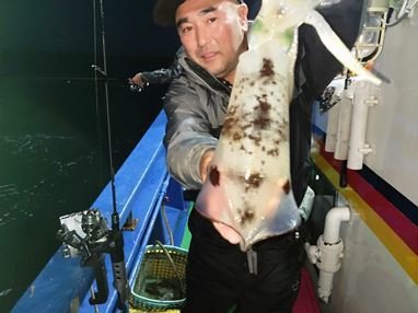 アオリイカ