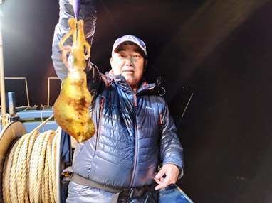 アオリイカ