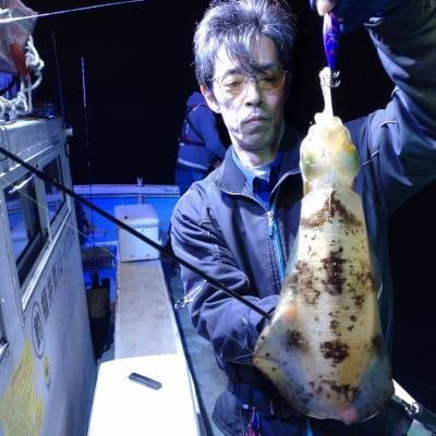 アオリイカ