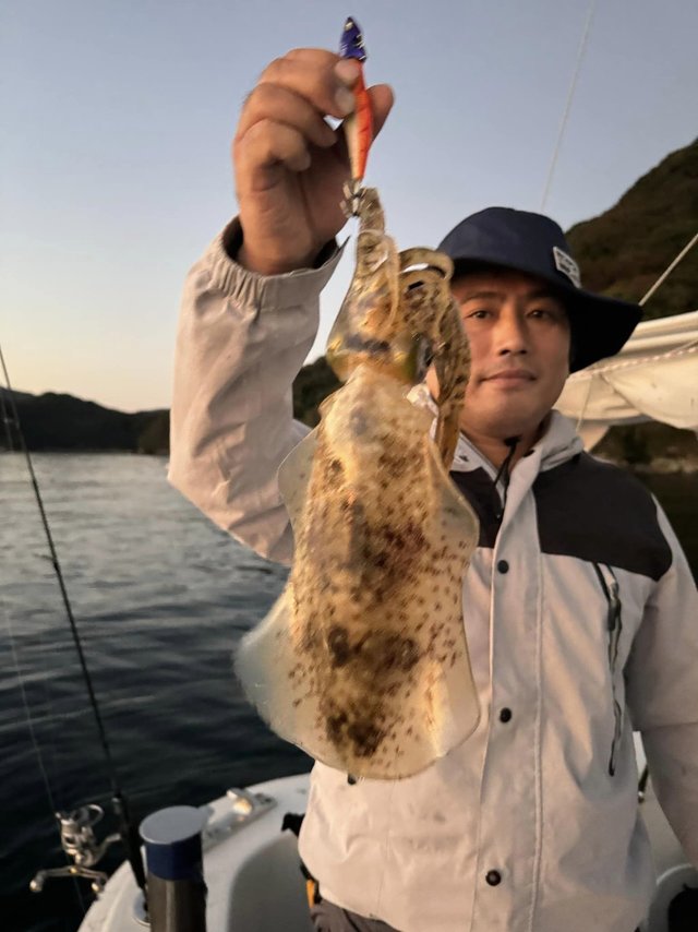 アオリイカ