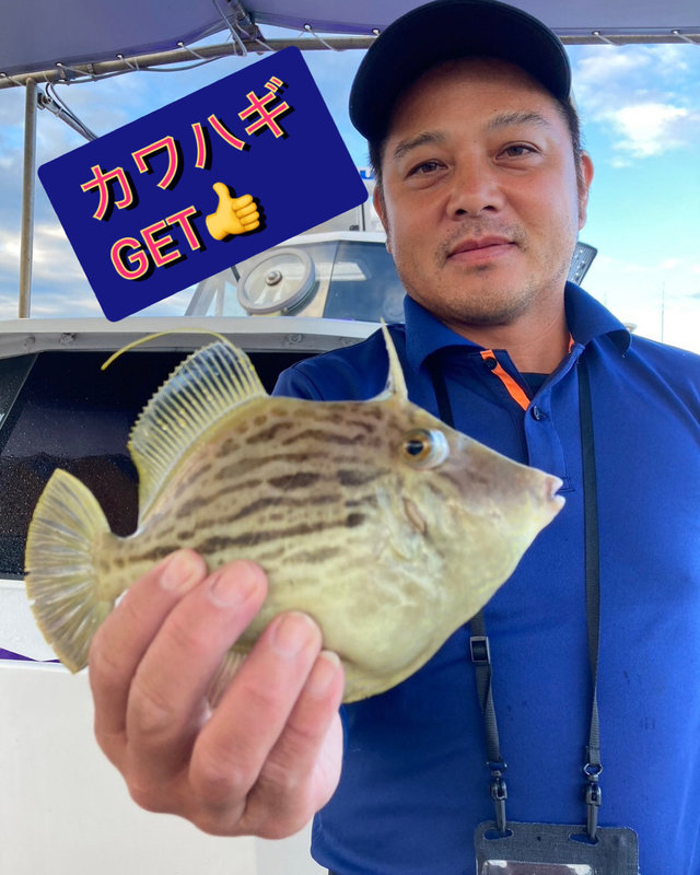 カワハギ