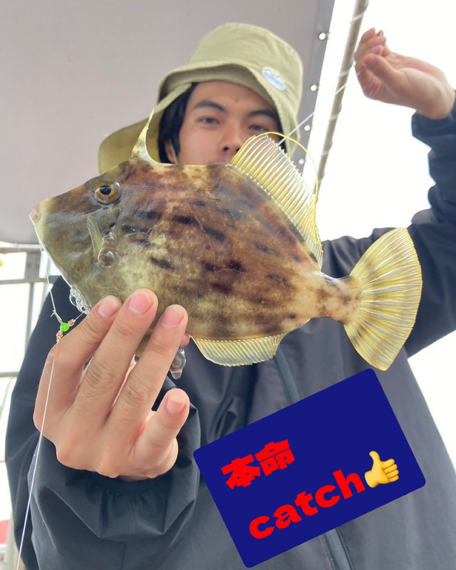 カワハギ