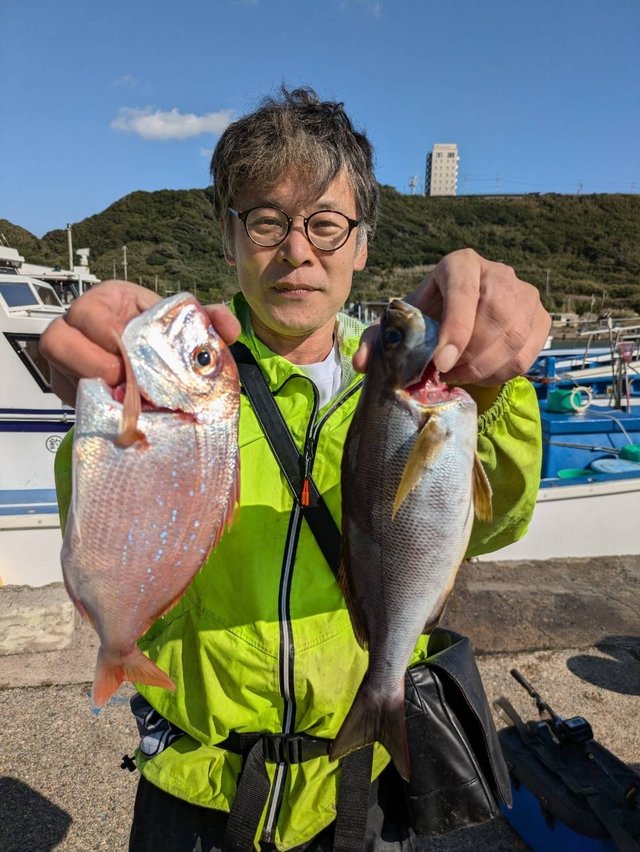 ハナダイ(チダイ)・イサキ