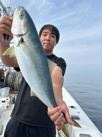 ハマチ(ブリ)