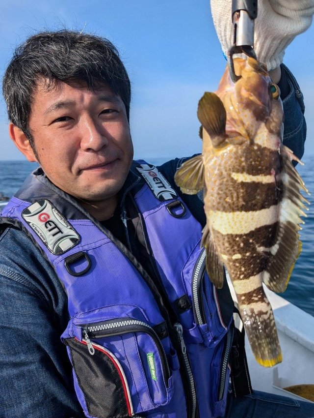 アオハタ
