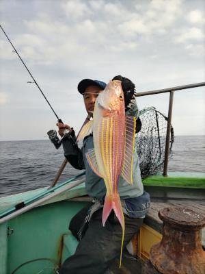 福井県で釣れたアオリイカの最新釣果、釣り情報【2024年12月】