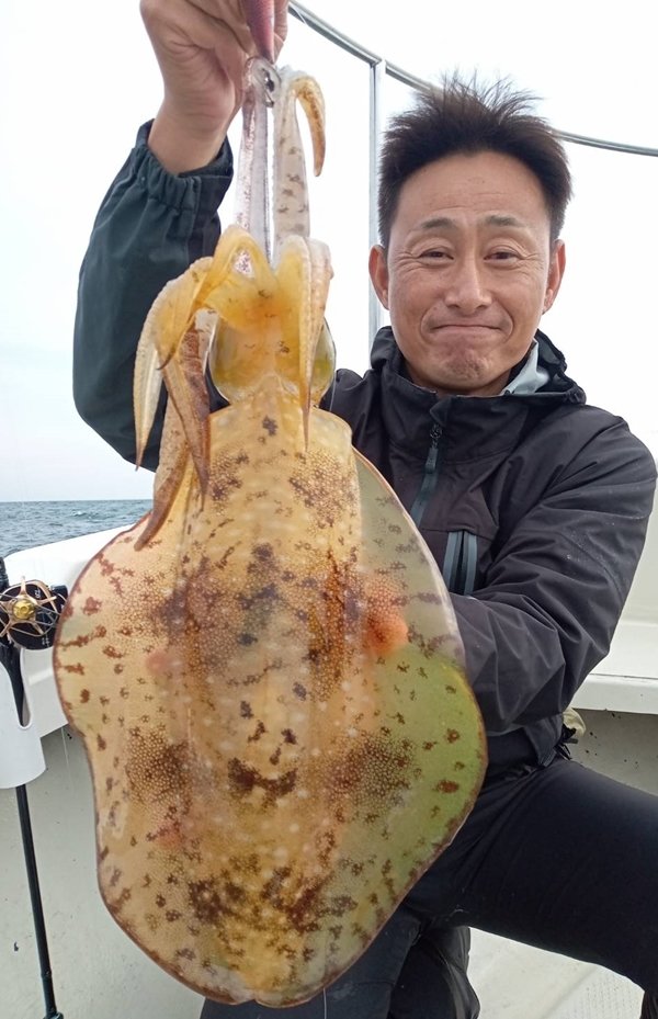 アオリイカ