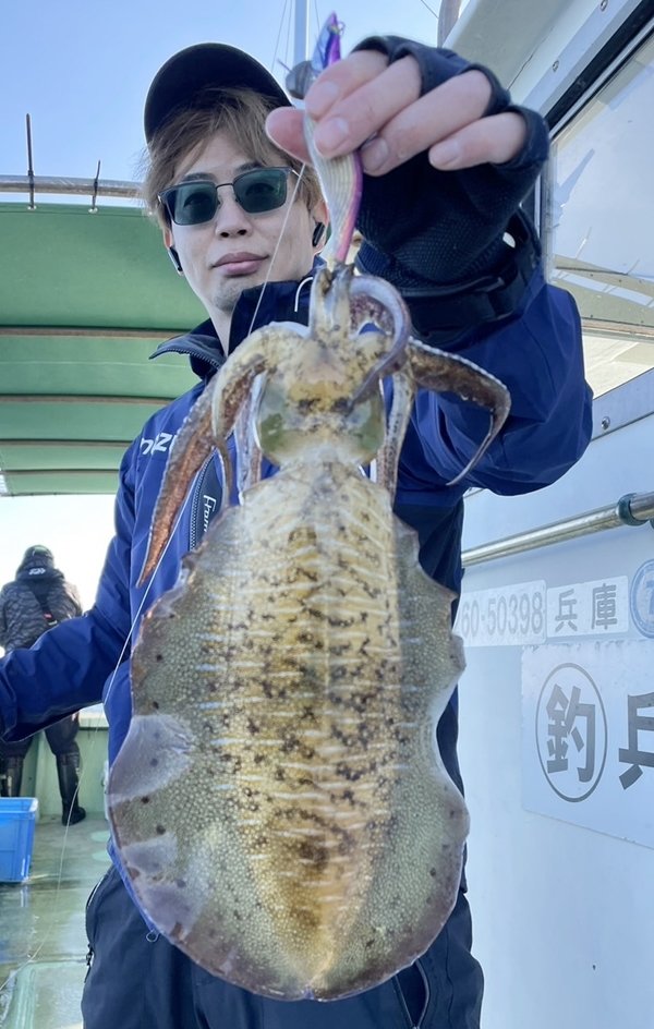 アオリイカ