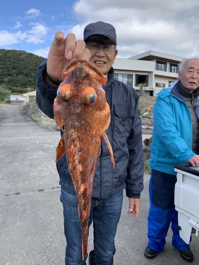 カサゴ