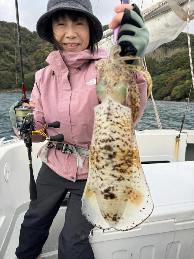 アオリイカ