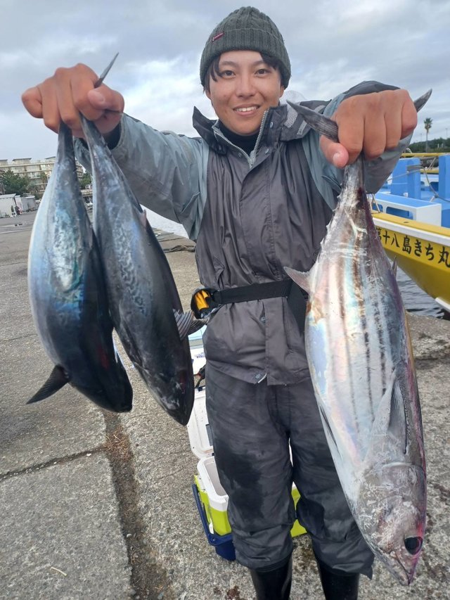 相模湾（神奈川県）で釣れたカツオの最新釣果、釣り情報【2024年12月】