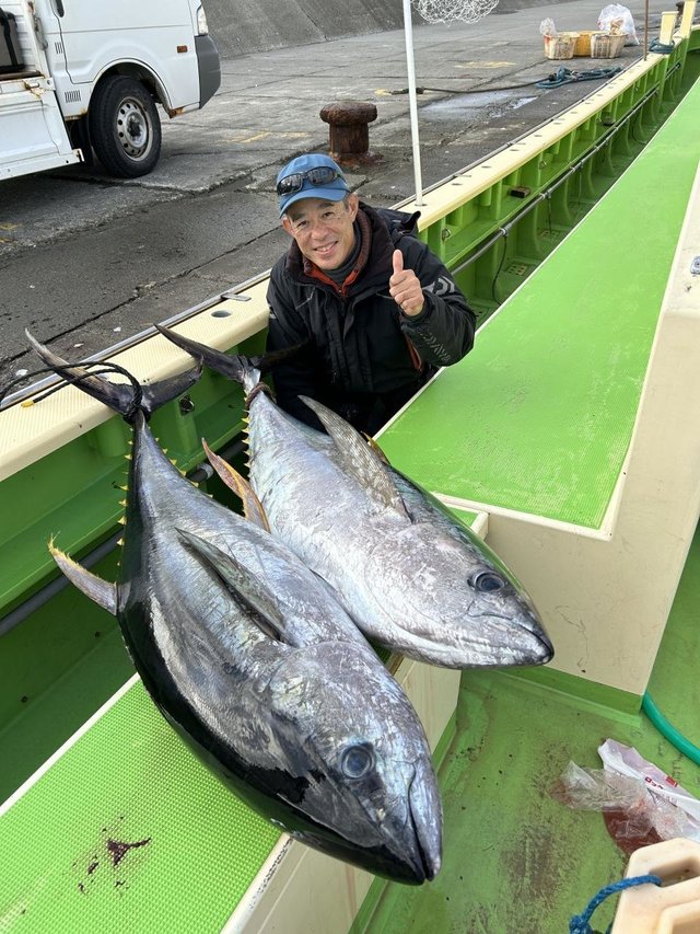 神奈川県で釣れたキハダの最新釣果、釣り情報【2024年11月】