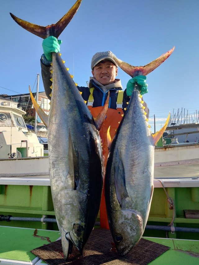 神奈川県で釣れたキハダの最新釣果、釣り情報【2024年11月】