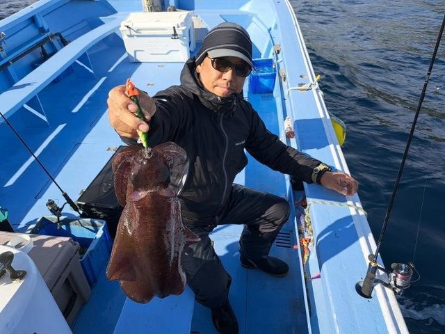 アオリイカ