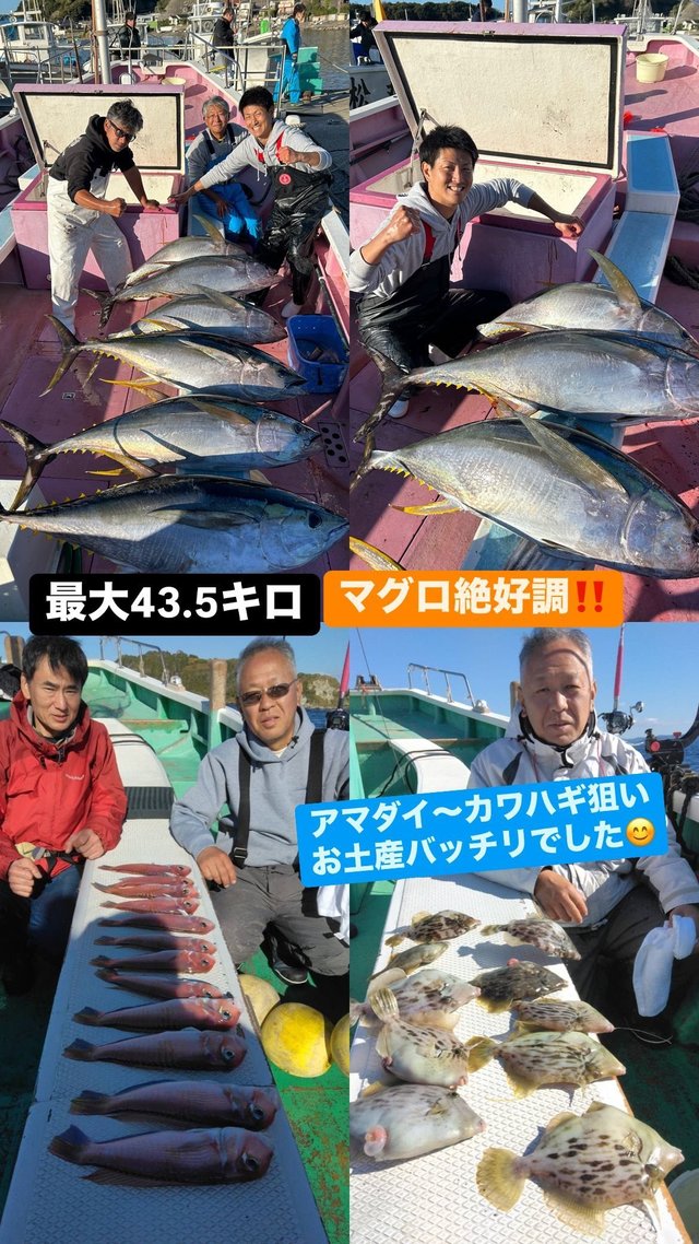 アマダイ(アカアマダイ)・カワハギ・マグロ(キハダ)
