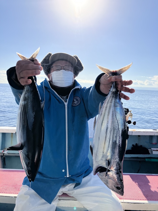 カツオ