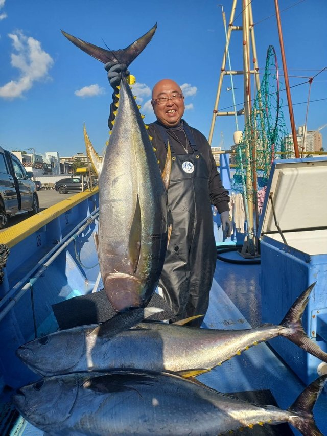 相模湾（神奈川県）で釣れたカツオの最新釣果、釣り情報【2024年12月】