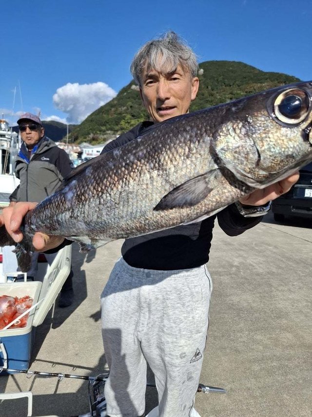 クロムツ