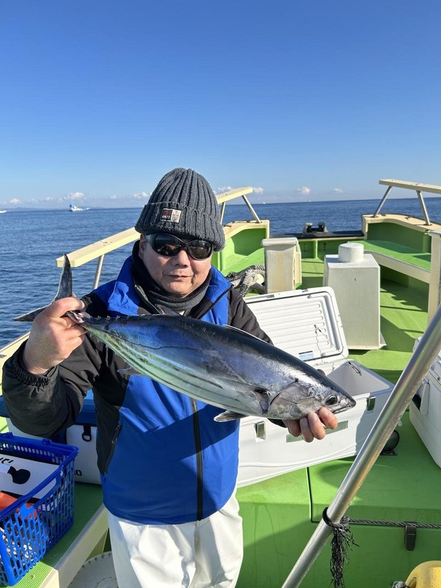 相模湾（神奈川県）で釣れたカツオの最新釣果、釣り情報【2024年12月】