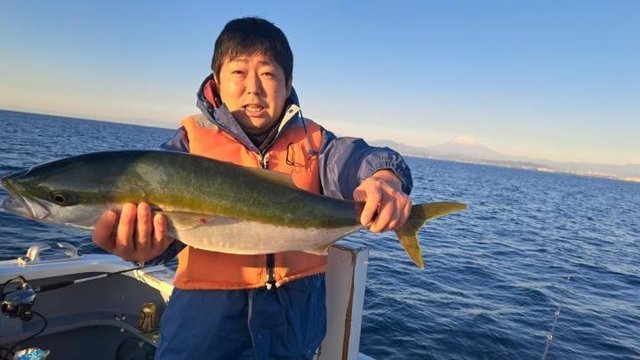 ワラサ(ブリ)