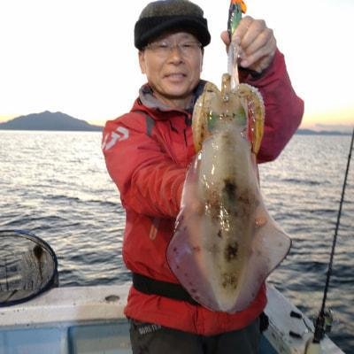 福井県で釣れたアオリイカの最新釣果、釣り情報【2024年12月】