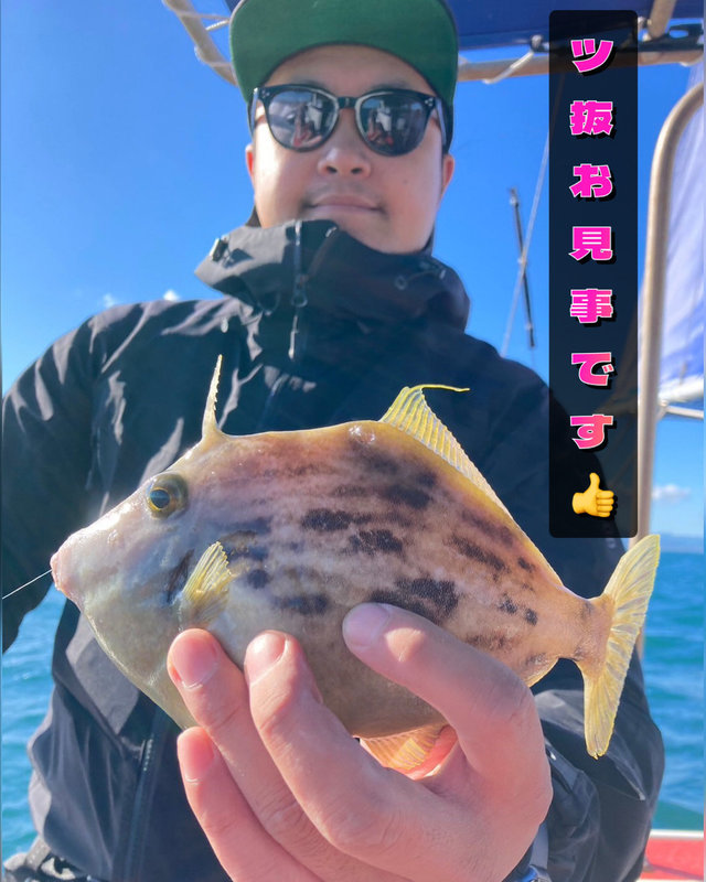 カワハギ