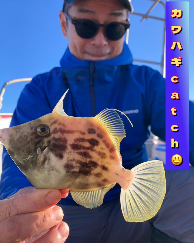 カワハギ