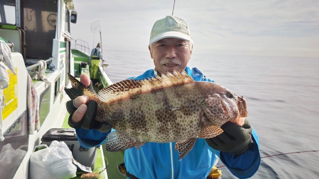 オオモンハタ