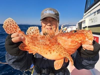 オニカサゴ