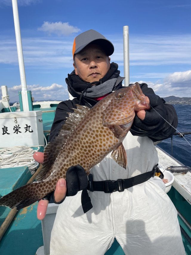 オオモンハタ