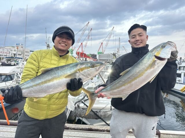 ハマチ(ブリ)