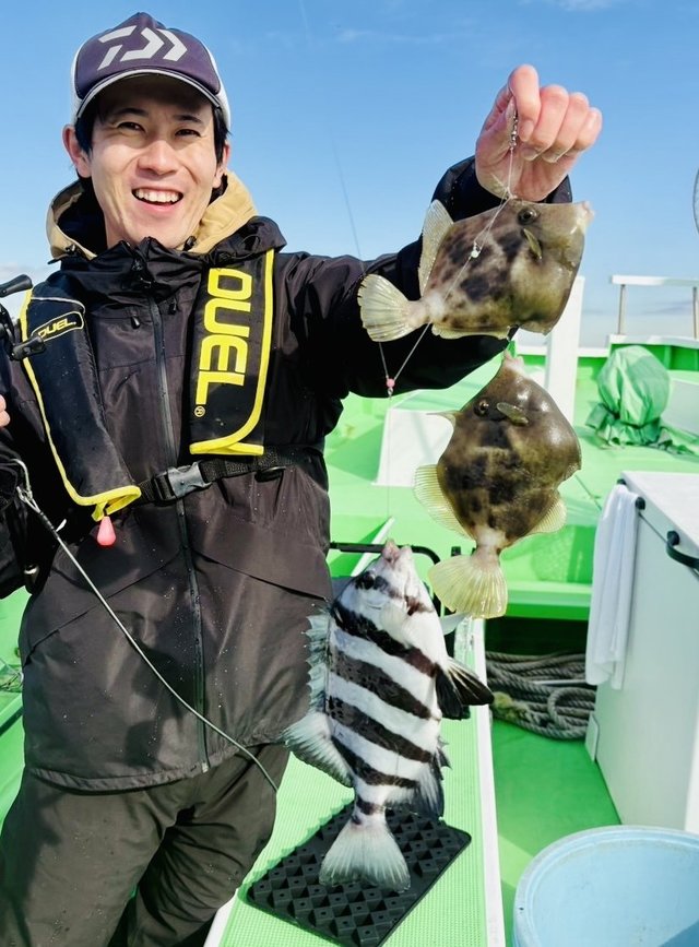 神奈川県で釣れたイシダイの最新釣果、釣り情報【2024年12月】