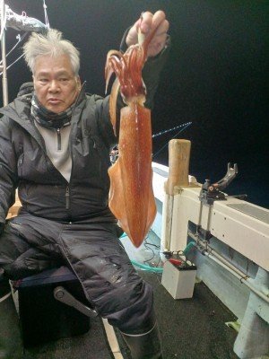 福岡県で釣れたケンサキイカの最新釣果、釣り情報【2024年12月】