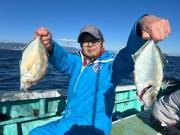 カイワリ