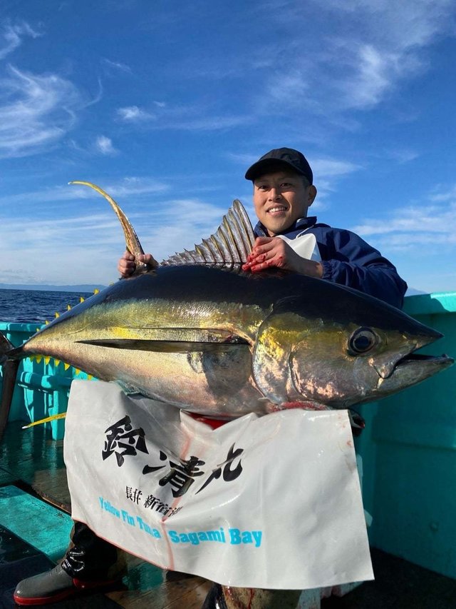 キハダ