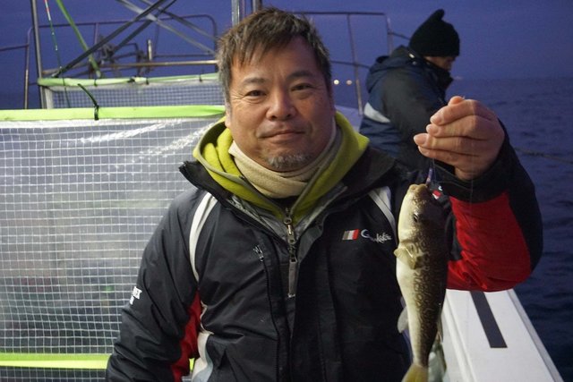 ショウサイフグ